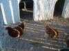 Agroturismo Casas Rurales Venta Seca