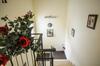 Hapina-shel-michal Hotel