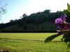 Agroturismo Crystal Creek Country Stay