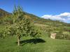 Agroturismo Turismo Rural Casa Del Batlle