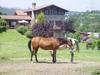 Agroturismo Casa Rural Erdikoetxe