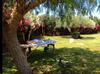 Agroturismo Torre Dantona - Country Hotel