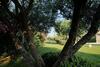 Agroturismo Torre Dantona - Country Hotel