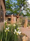 Hotel Canyon Of The Ancients Guest Ranch