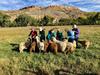 Hotel Canyon Of The Ancients Guest Ranch