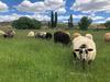 Hotel Canyon Of The Ancients Guest Ranch