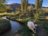Hotel Canyon Of The Ancients Guest Ranch