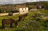 Agroturismo La Casa De Los Arribes