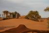 Bivouac R�ve Sahara-dar Azawad