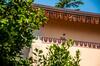 Hostal Tenuta Colavecchio B&B