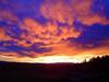 Hokonui Bed &amp; Breakfast