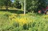 Holiday Home Skr�ttan Erikstad Mellerud