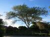 Hostal Broadlands Country House