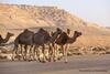 Agroturismo Desert View