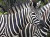 Lodge Olievenfontein Private Game Reserve