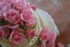 Bed & Breakfast Midrand Wild Goose Guest House