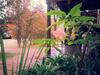 Bed & Breakfast Midrand Wild Goose Guest House