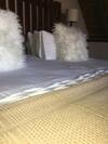 Bed & Breakfast Midrand Wild Goose Guest House