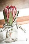 Bed & Breakfast Midrand Wild Goose Guest House