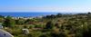 Hostal Il Pappagallo
