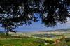 Agroturismo Tenuta Torchio Antico