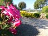 Agroturismo Can Micos