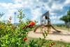 Agroturismo Casale Dei Mattonari