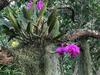Hostal Birds Babble Self Catering Guesthouse