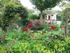 Bed & Breakfast Fothergills On Mimiha