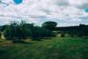 Bed & Breakfast Podere San Francesco