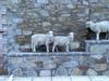Hostal Agriturismo Le Case Rosse Di Montebuono