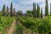 Hostal Agriturismo Le Case Rosse Di Montebuono