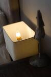 Hotel H�tel Restaurant La Ribaudi�re