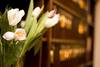 Hotel Cordial Theatre