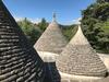 Agroturismo Splendida Villa A Selva Di Fasano