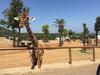 Agroturismo Splendida Villa A Selva Di Fasano