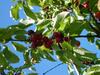 B&B Maremma Nel Tufo
