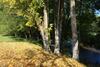 Apartamento Pensjonat Natura