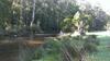 Hostal Pear Tree Cottage Bed And Breakfast