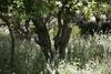Hotel Rozendal Guest Farm