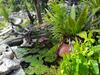 Hotel Prachuap Garden View Resort