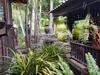 Hotel Prachuap Garden View Resort