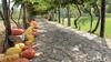 Agroturismo Casa Dos Ara�jos