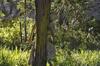 Bed & Breakfast Wildekrans Country House