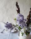 Bed & Breakfast Wildekrans Country House