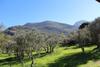 Agroturismo Casale Orioles - Casa Vacanze