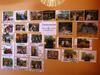 Meerkatplaats Guesthouse And B&B