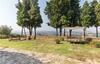 Montecamerini