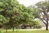 Zululand Safari Lodge