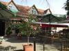 Bed & Breakfast Ludas Fogad�